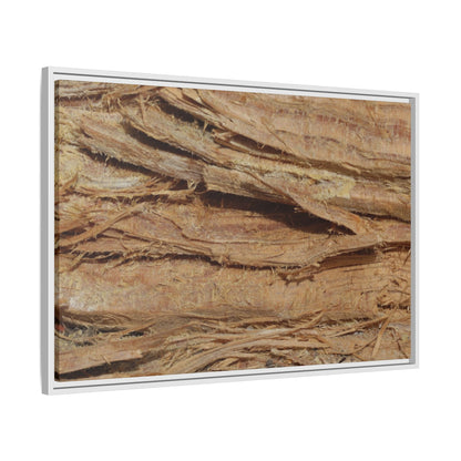 Splintered Bark - Unique Stretched Canvas Wall Art