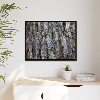 Bark Whispers - Unique Stretched Canvas Wall Art
