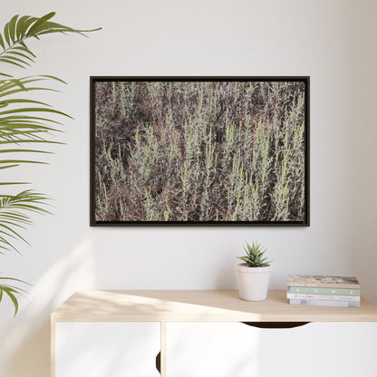 Sage Fields Forever - Unique Stretched Canvas Wall Art - Art By Earth