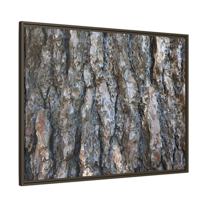 Bark Whispers - Unique Stretched Canvas Wall Art