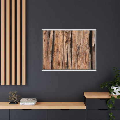 Timber Echoes - Unique Stretched Canvas Wall Art