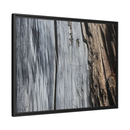 Wood's Lament - Unique Stretched Canvas Wall Art