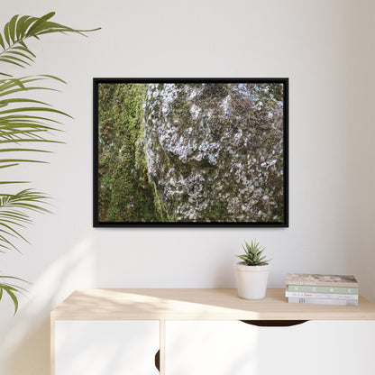 Lichen Landscape - Unique Stretched Canvas Wall Art