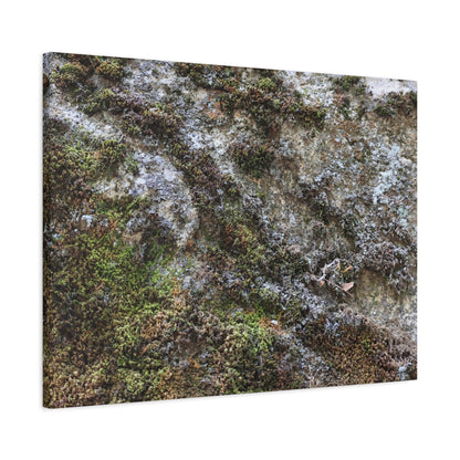 Moss Tapestry - Unique Frameless Canvas Wall Art