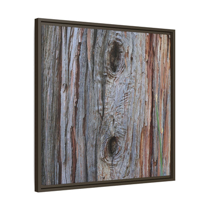 Knotty Nature - Unique Stretched Canvas Wall Art
