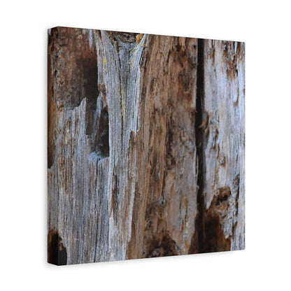 Timber Tapestry - Unique Frameless Canvas Wall Art