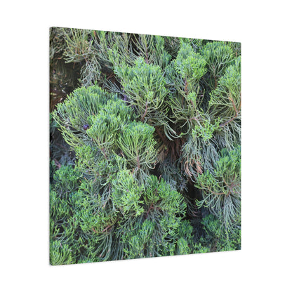 Green Labyrinth - Unique Frameless Canvas Wall Art