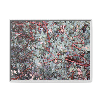 Whispers of Sage - Unique Stretched Canvas Wall Art