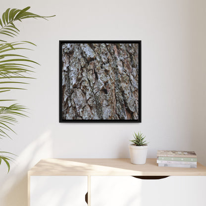 Woodland Canvas - Unique Stretched Canvas Wall Art