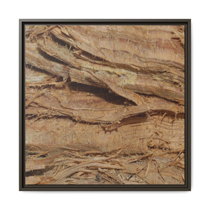 Splintered Bark - Unique Stretched Canvas Wall Art