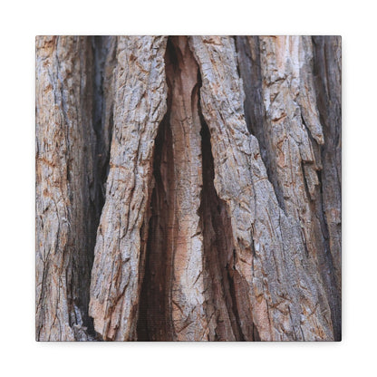 Fractured Skin of Time - Unique Frameless Canvas Wall Art