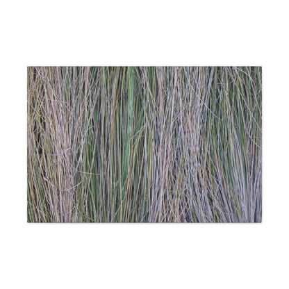 Whispers of Grass - Unique Frameless Canvas Wall Art