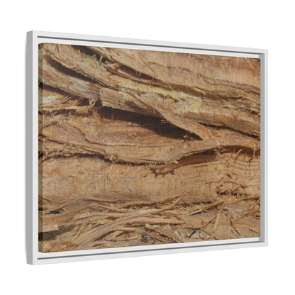 Splintered Bark - Unique Stretched Canvas Wall Art