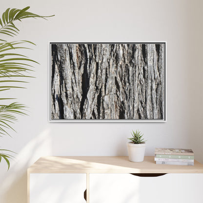 Nature's Abstract - Unique Stretched Canvas Wall Art