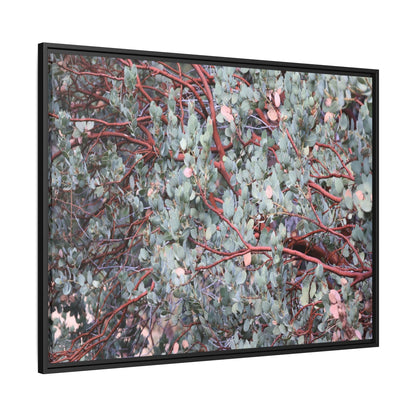 Whispers of Sage - Unique Stretched Canvas Wall Art