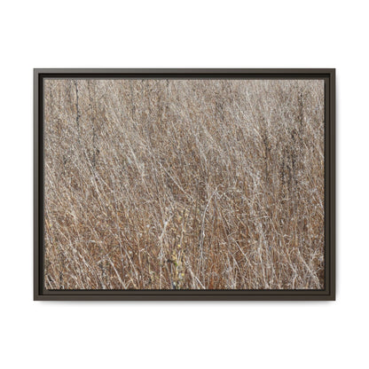 Dry Grass Symphony - Unique Stretched Canvas Wall Art - Art By Earth