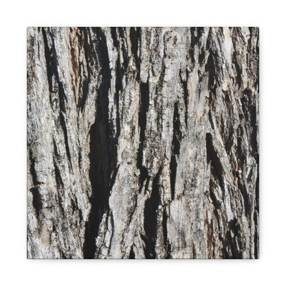 Bark Textures in Monochrome - Unique Frameless Canvas Wall Art