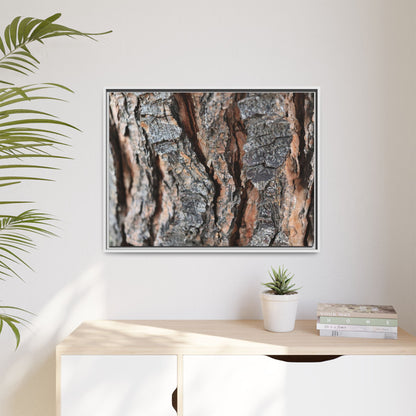 Fractured Nature - Unique Stretched Canvas Wall Art