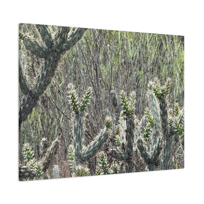 Spiny Sentinels - Unique Frameless Canvas Wall Art
