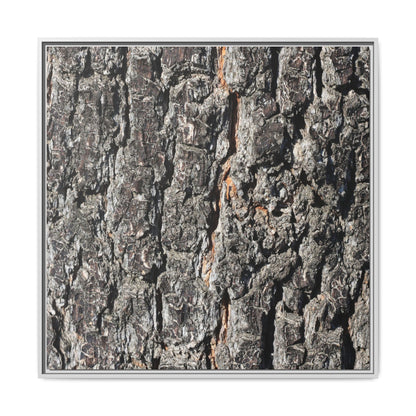 Aged Beauty - Unique Stretched Canvas Wall Art