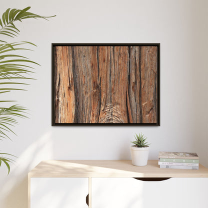 Echoes of Timber - Unique Stretched Canvas Wall Art