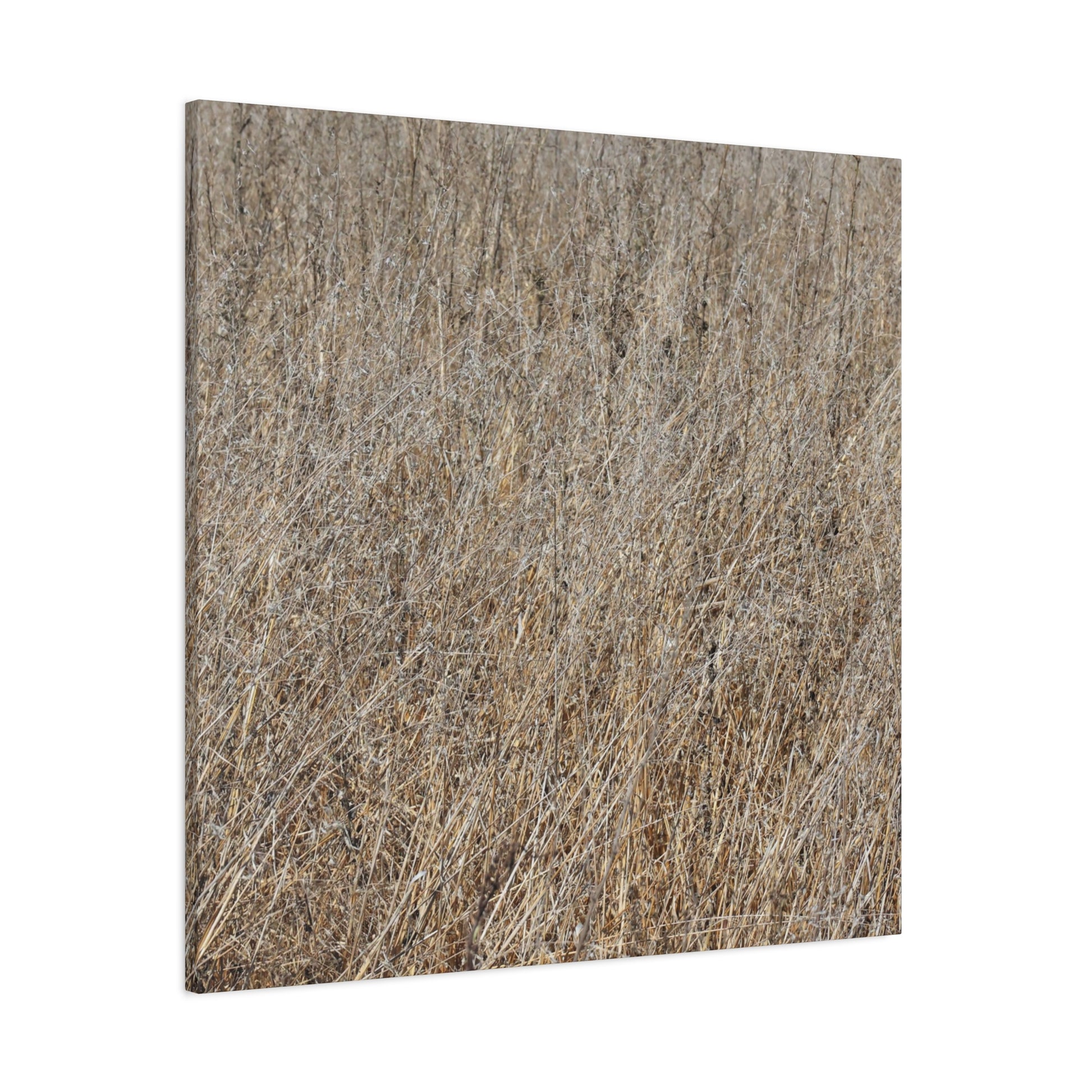 Silent Prairie - Unique Frameless Canvas Wall Art - Art By Earth