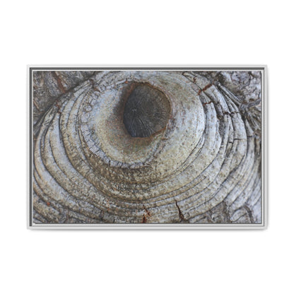 Echoes of Time - Unique Stretched Canvas Wall Art