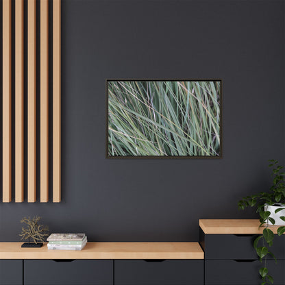 Grassland Symphony - Unique Stretched Canvas Wall Art