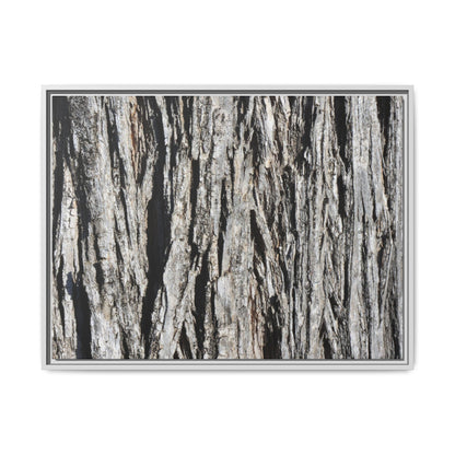 Nature's Abstract - Unique Stretched Canvas Wall Art