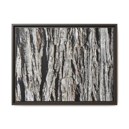 Nature's Abstract - Unique Stretched Canvas Wall Art