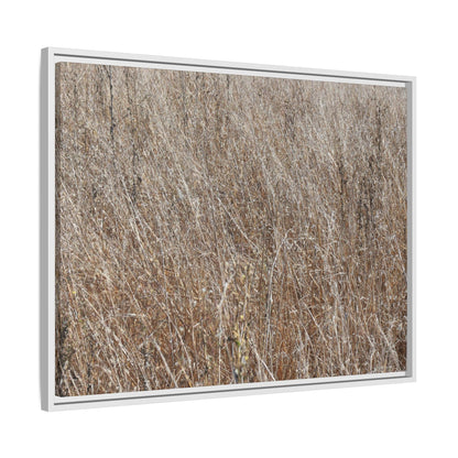 Dry Grass Symphony - Unique Stretched Canvas Wall Art - Art By Earth