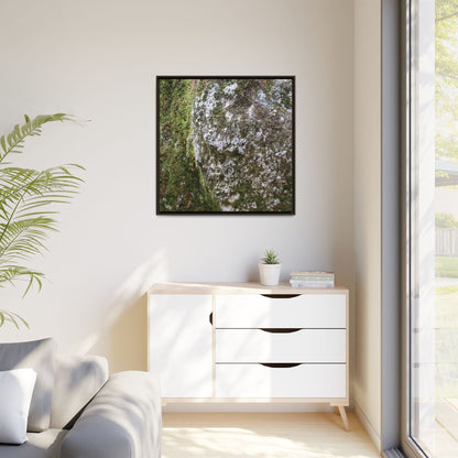 Lichen Landscape - Unique Stretched Canvas Wall Art