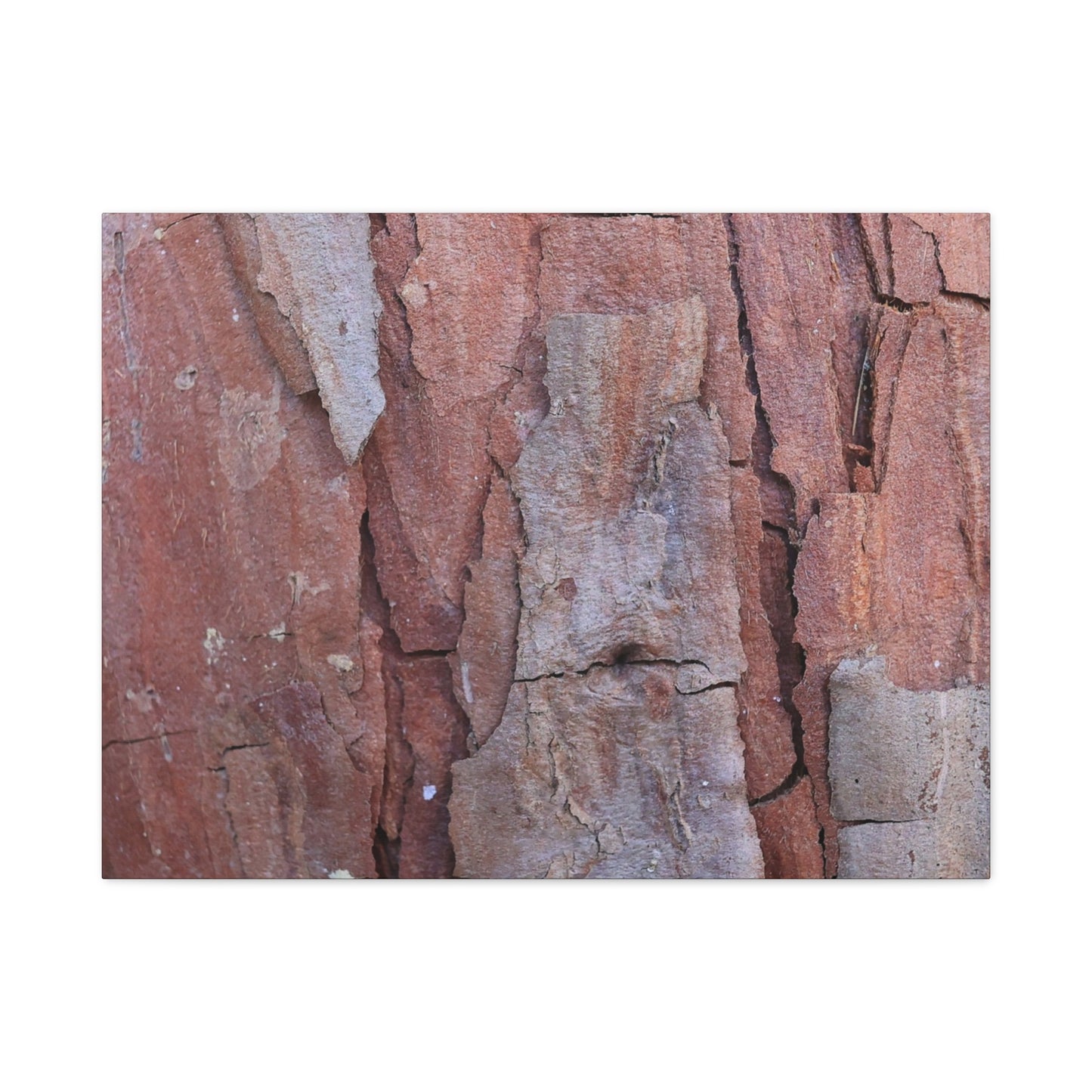 Fractal Rust - Unique Frameless Canvas Wall Art