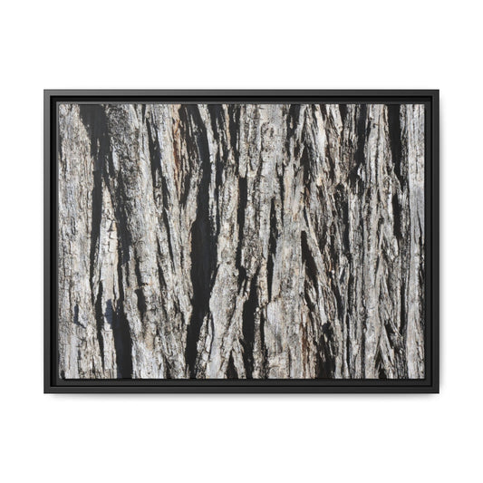 Bark Lines - Unique Poster Wall Art
