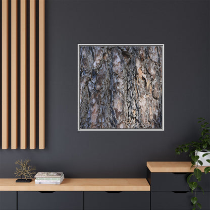 Weathered Patterns - Unique Stretched Canvas Wall Art
