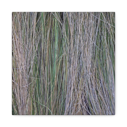 Whispers of Grass - Unique Frameless Canvas Wall Art