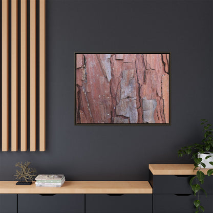 Peeling Bark - Unique Stretched Canvas Wall Art