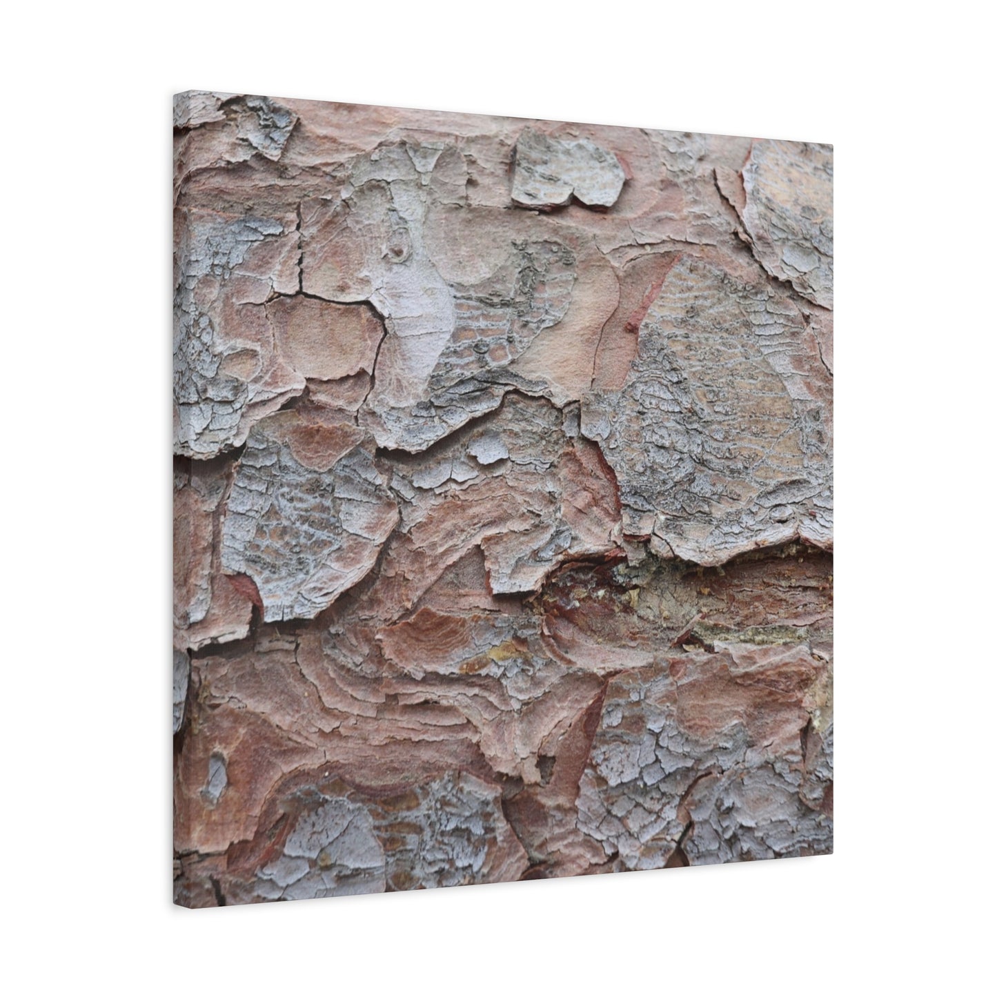 Textural Landscape - Unique Frameless Canvas Wall Art