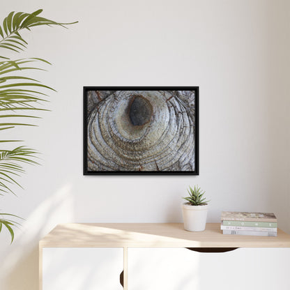 Echoes of Time - Unique Stretched Canvas Wall Art