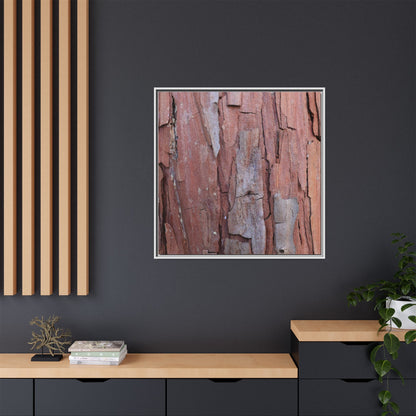 Peeling Bark - Unique Stretched Canvas Wall Art