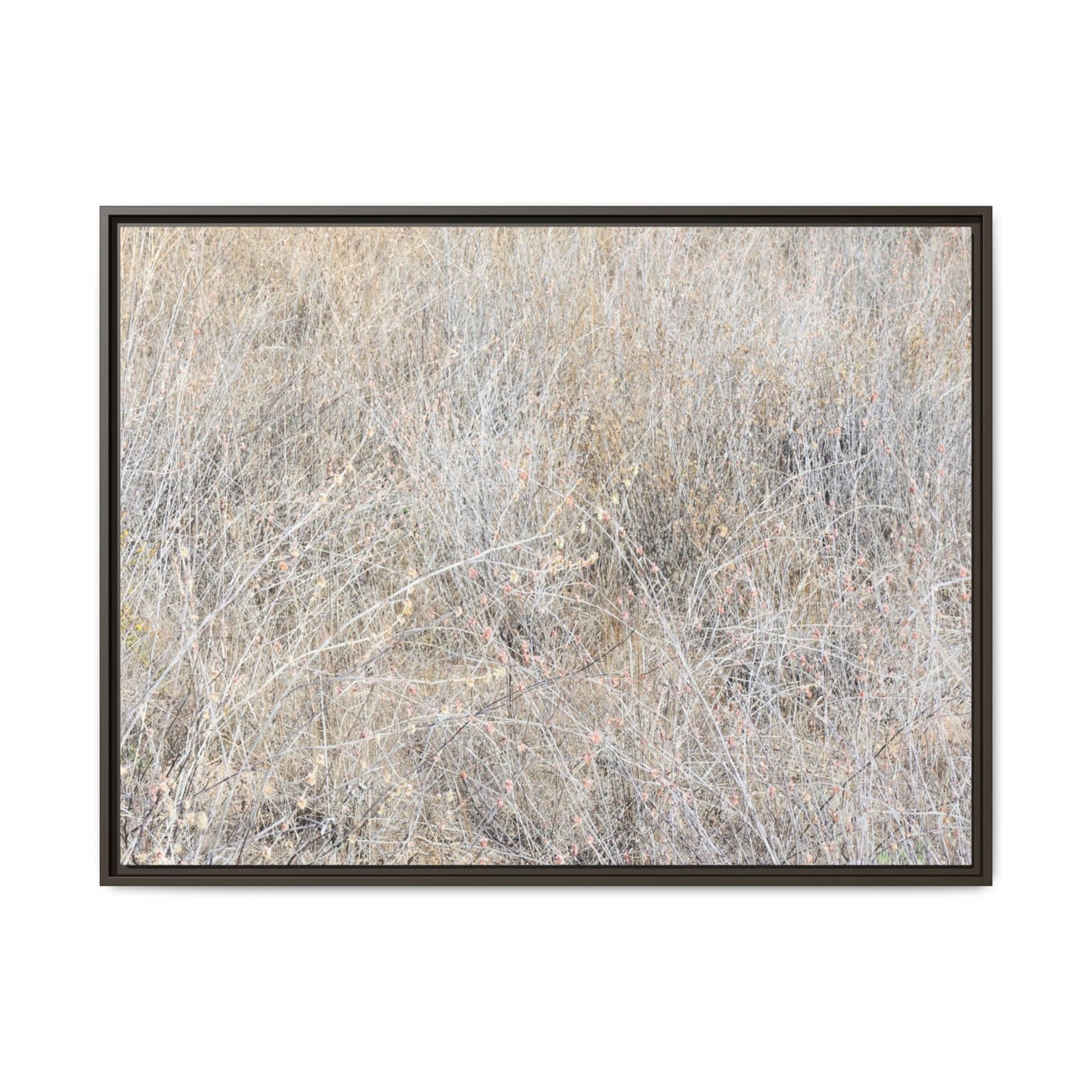 Faded Memories - Unique Stretched Canvas Wall Art - Art By Earth