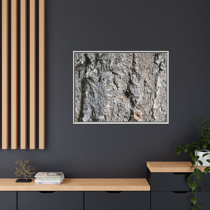 Crusty Exterior - Unique Stretched Canvas Wall Art
