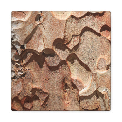 Terracotta Echoes - Unique Frameless Canvas Wall Art