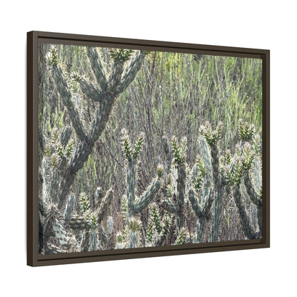 Prickly Paradise - Unique Stretched Canvas Wall Art
