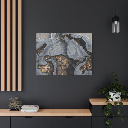 Weathered Woodland Whispers - Unique Frameless Canvas Wall Art