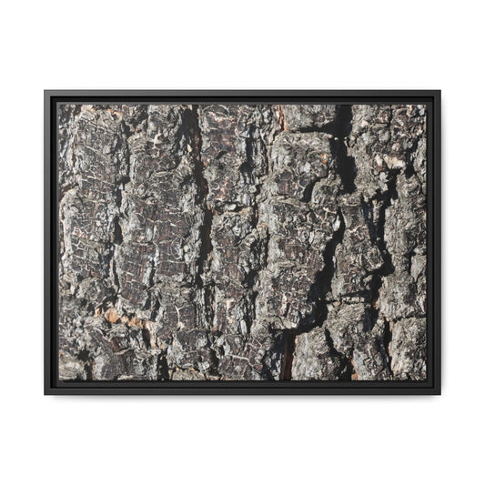 Bark Study in Gray - Unique Poster Wall Art