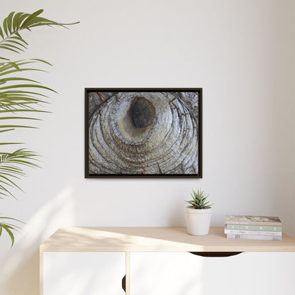Echoes of Time - Unique Stretched Canvas Wall Art