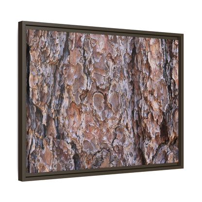 Woody Layers - Unique Stretched Canvas Wall Art