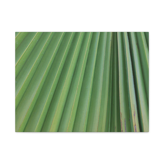 Palm Pulse - Unique Frameless Canvas Wall Art