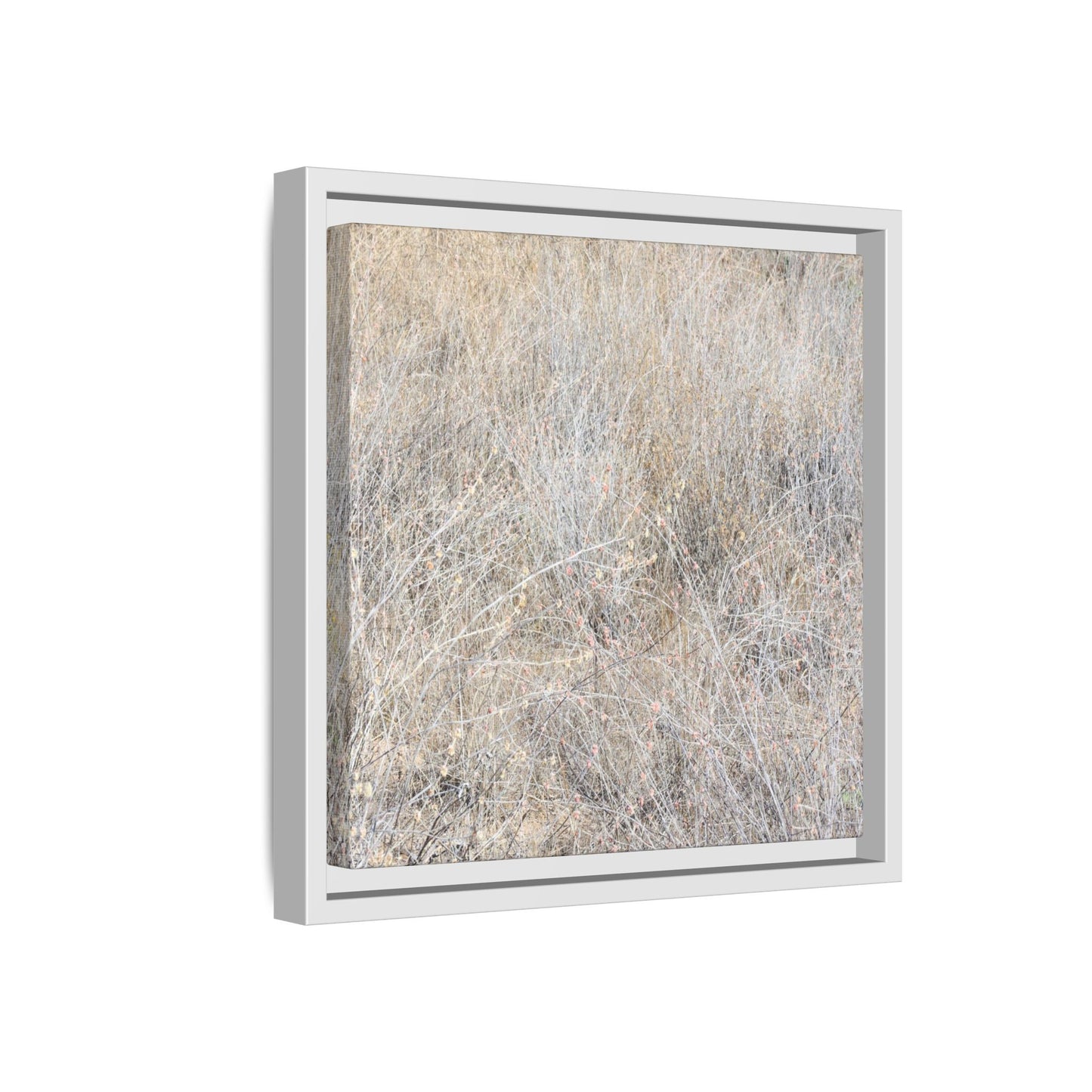 Whispers of Dry Grass - Unique Stretched Canvas Wall Art - Art By Earth
